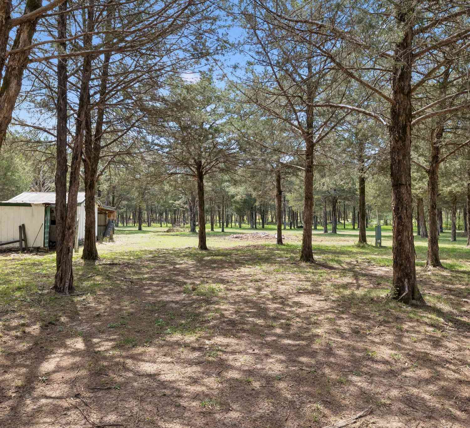 Vacant Land For Sale - 160 Osteen Ln<br/> Bedford County County, Chapel Hill, TN 37034