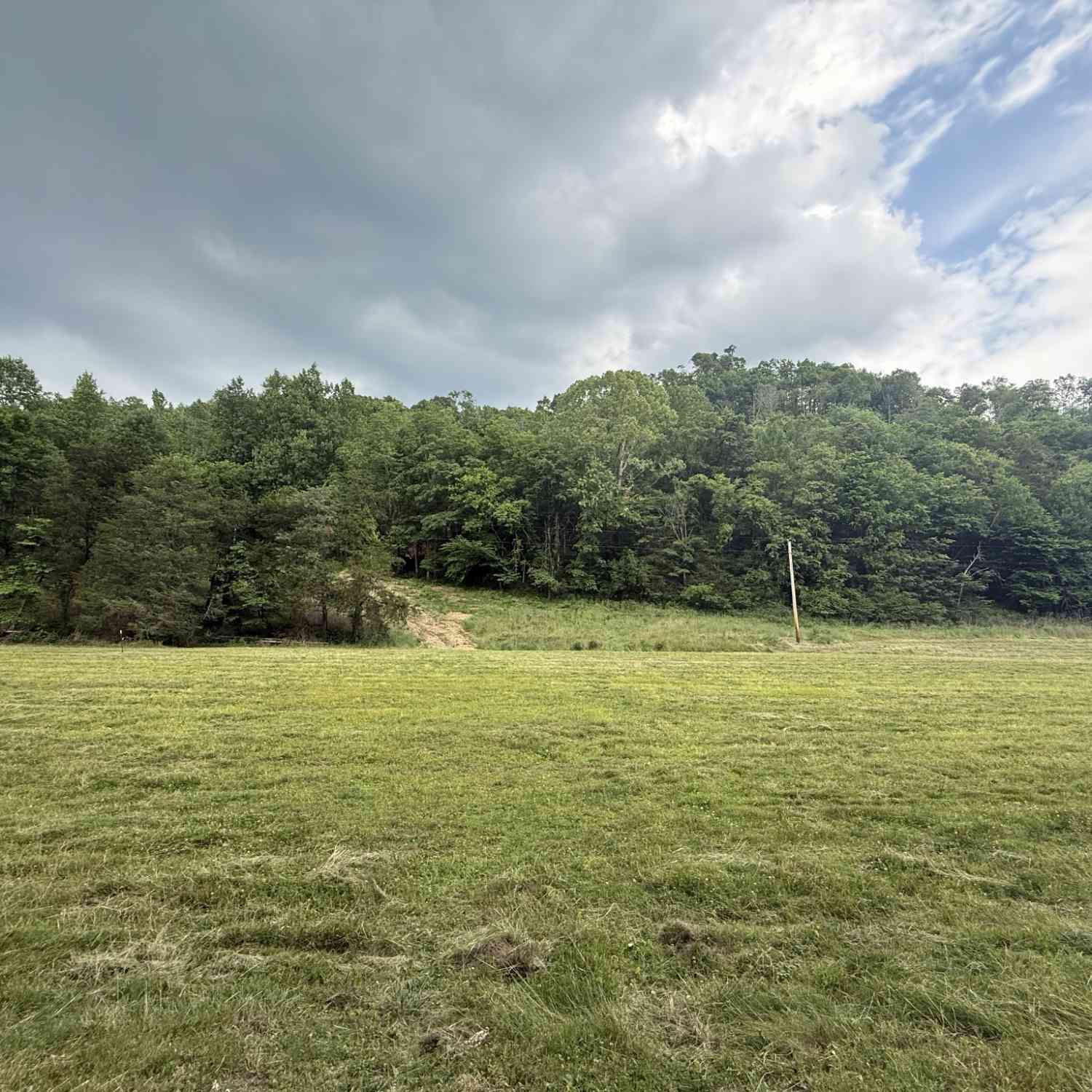 Vacant Land For Sale - Hurricane Branch Lane<br/> Gainesboro, TN 38562