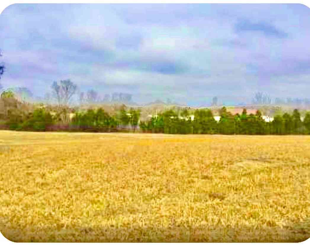 Vacant Land For Sale - N Old Mt Juliet Rd<br/> Wilson County County, Mount Juliet, TN 37122