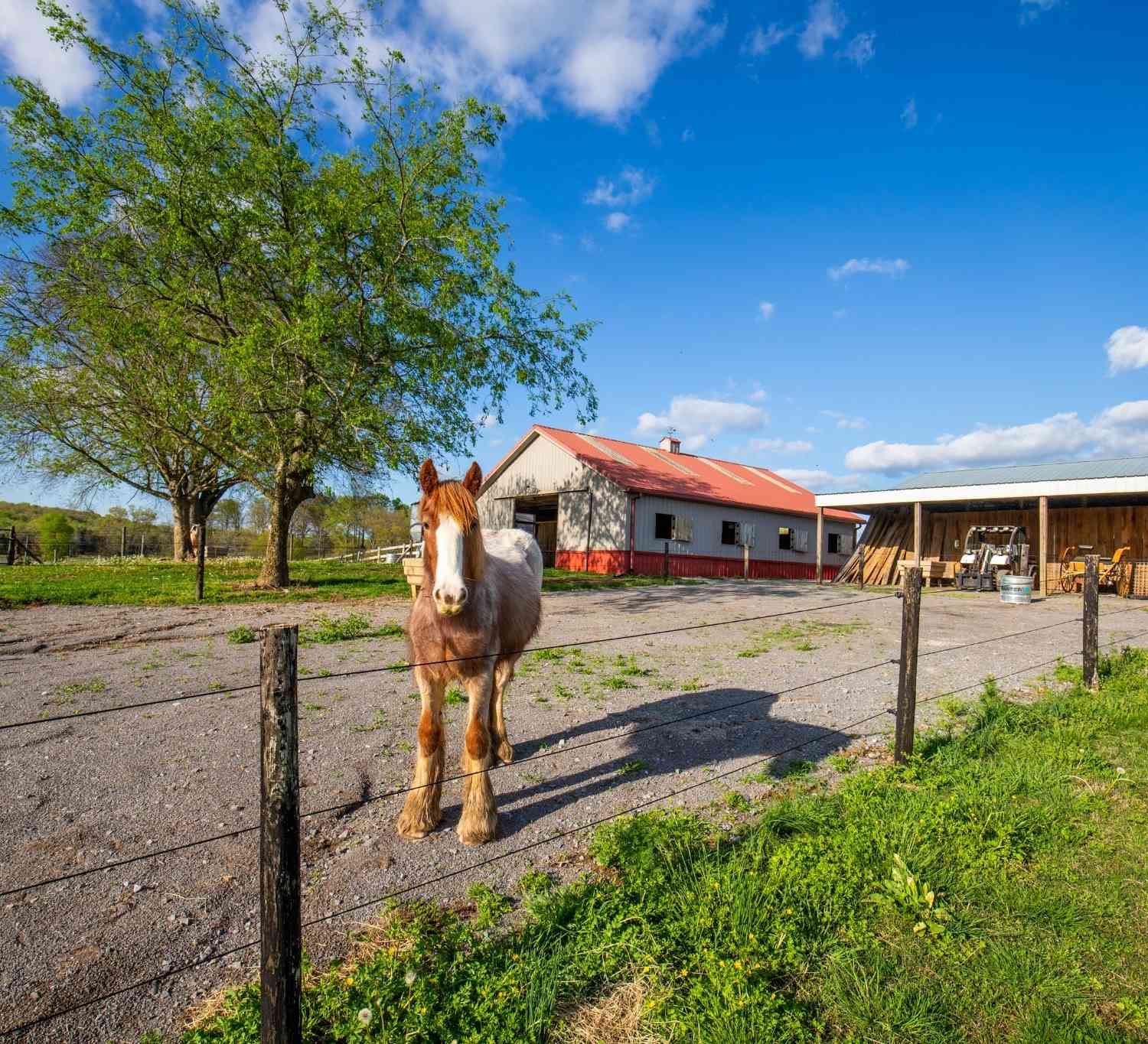 Homes For Sale - 501 Burnt Hill Rd<br/> Bedford County County, Unionville, TN 37180