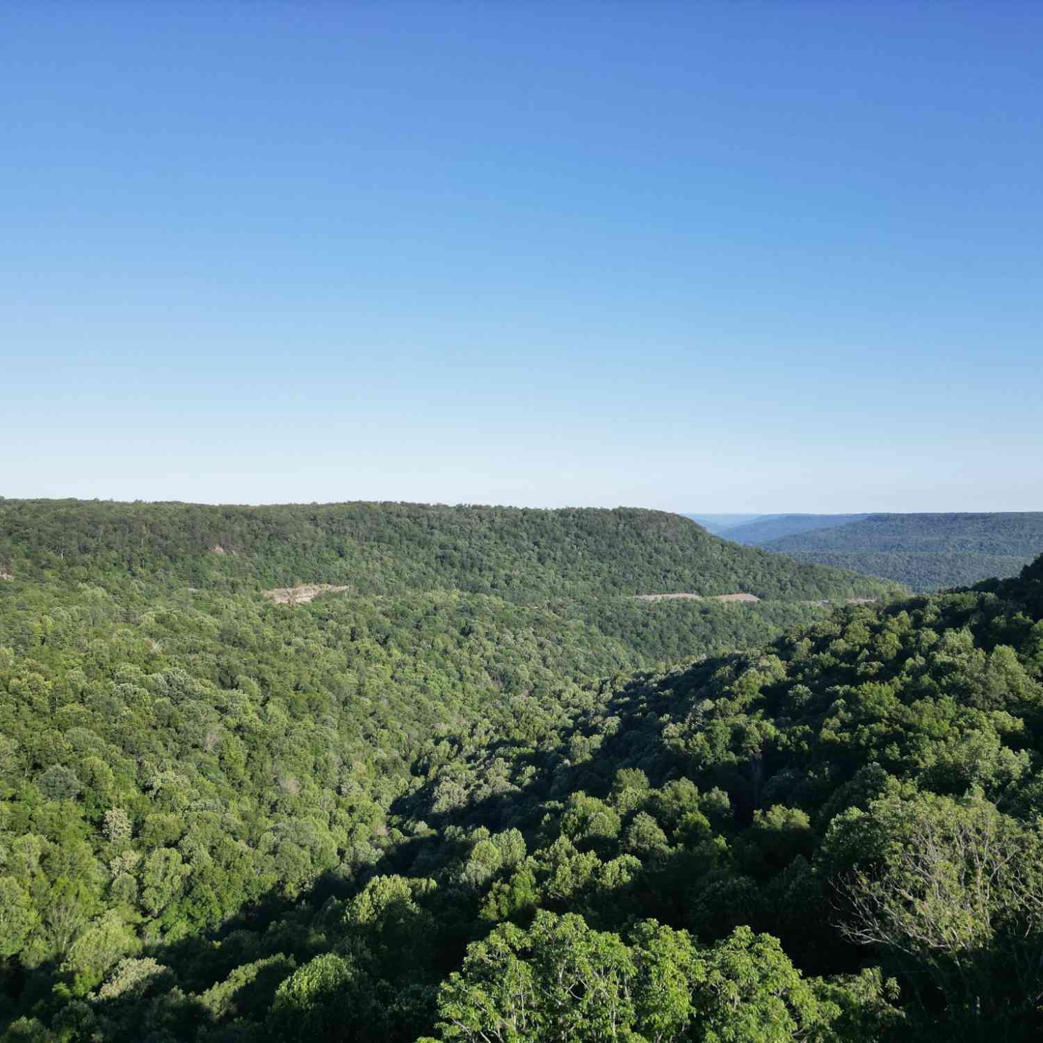 Vacant Land For Sale - Laurel Lake Dr<br/> Monteagle, TN 37356