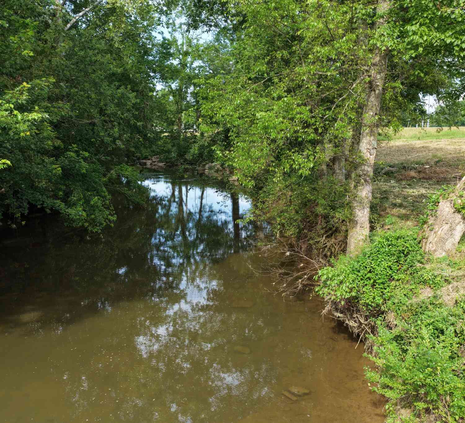 Vacant Land For Sale - West Rd<br/> Bedford County County, Wartrace, TN 37183