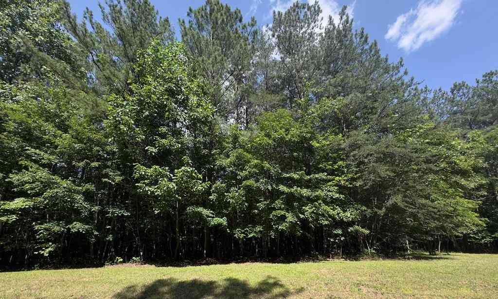 Vacant Land For Sale - Hickory Nut Trl<br/> Spencer, TN 38585