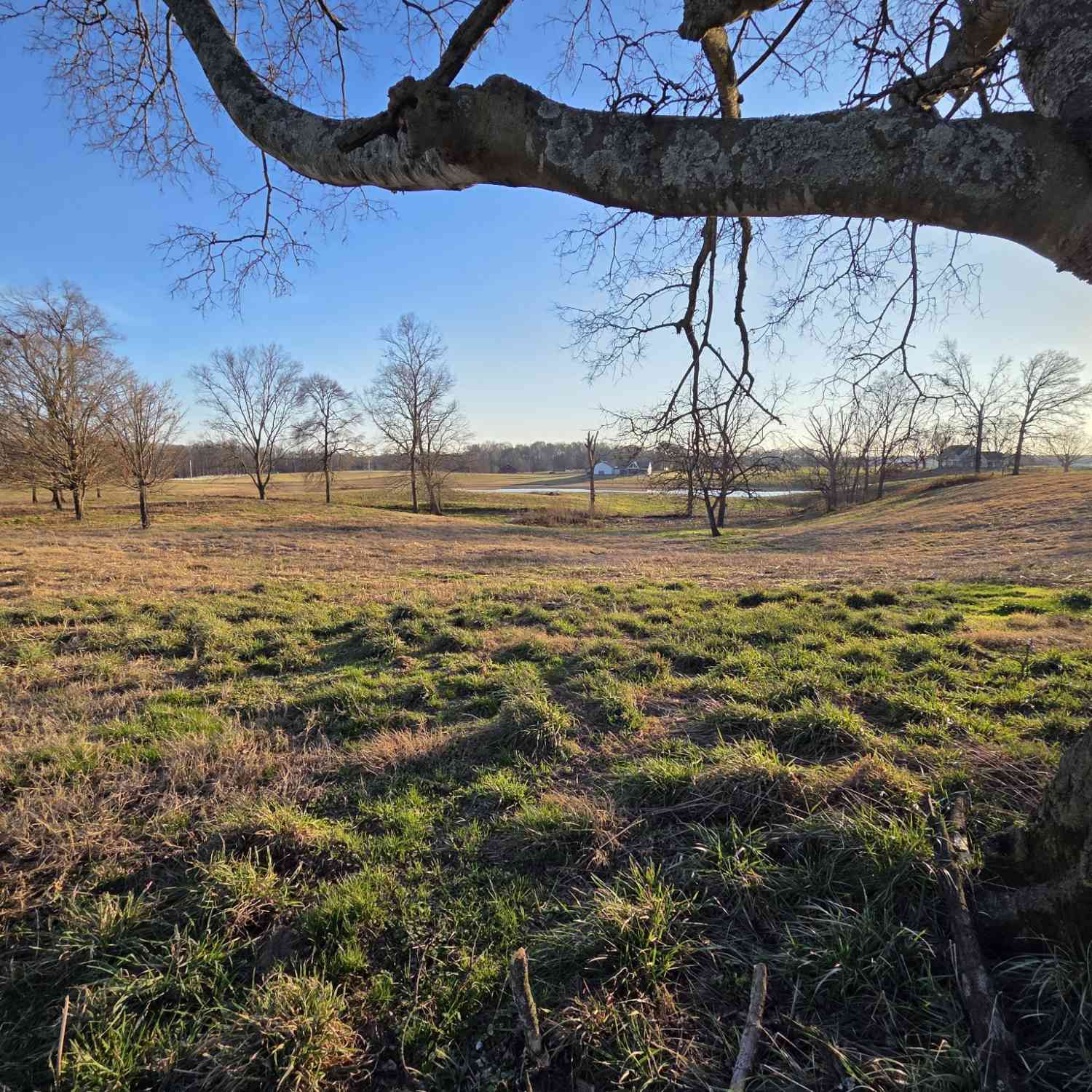 Vacant Land For Sale - Homer Worsham<br/> Springfield, TN 37172