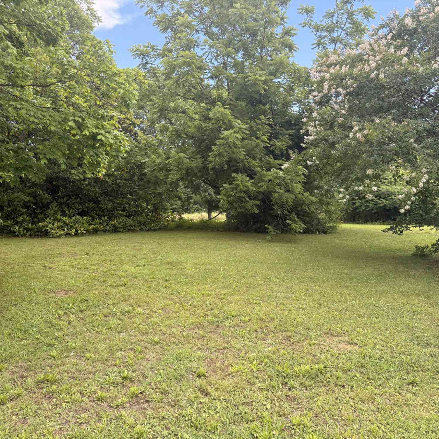 Vacant Land For Sale - 1508 Turnpike Road<br/> Lawrence County County, Summertown, TN 38483