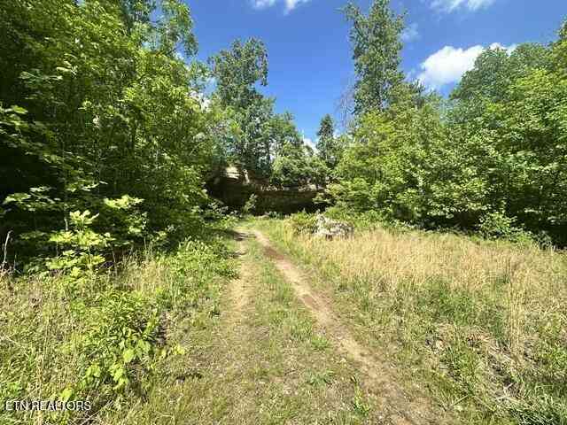 Vacant Land For Sale - Bear Knob Lane<br/> Crawford, TN 38554
