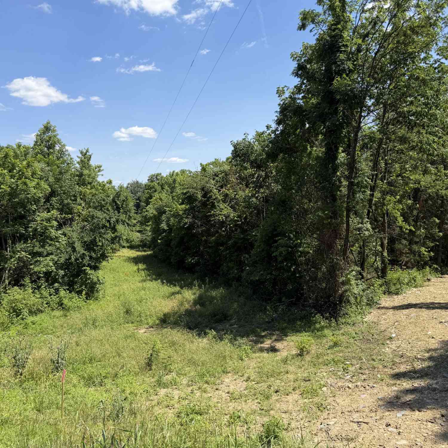 Vacant Land For Sale - City Park Rd<br/> Sumner County County, Westmoreland, TN 37186