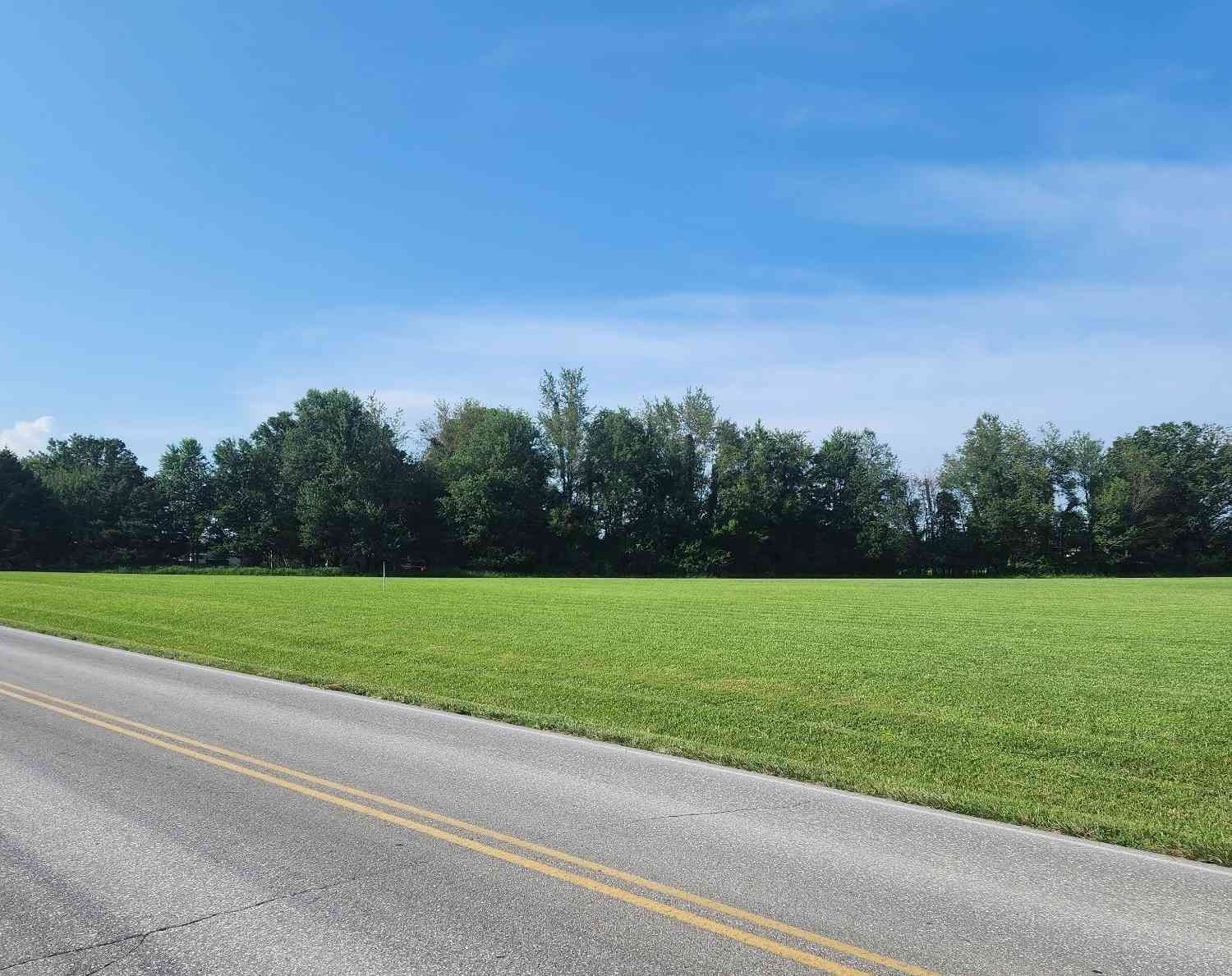 Vacant Land For Sale - Campbellsville Pike Rd<br/> Ethridge, TN 38456