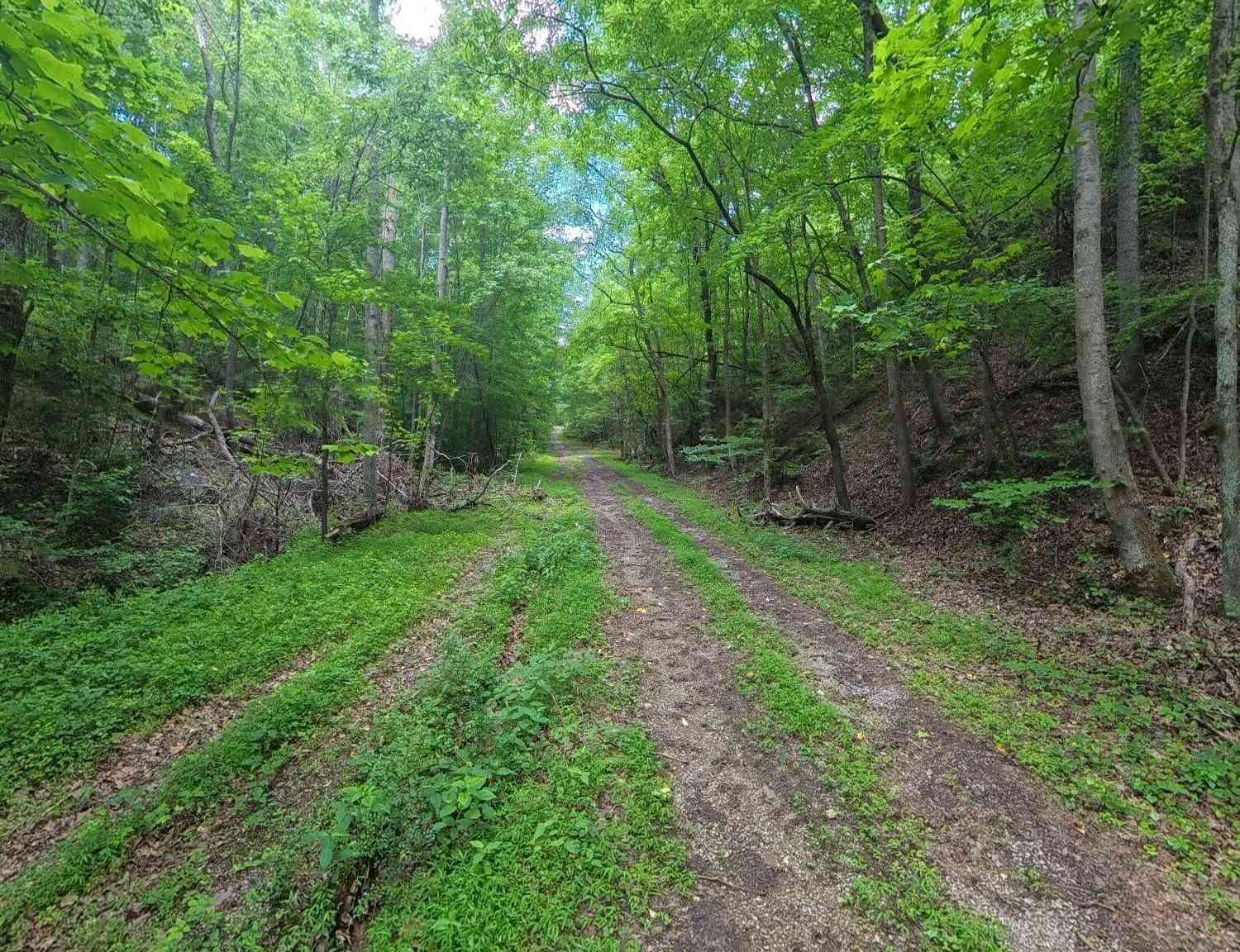 Vacant Land For Sale - 195 Sherwood Lane<br/> Roane County, Harriman, TN 37748