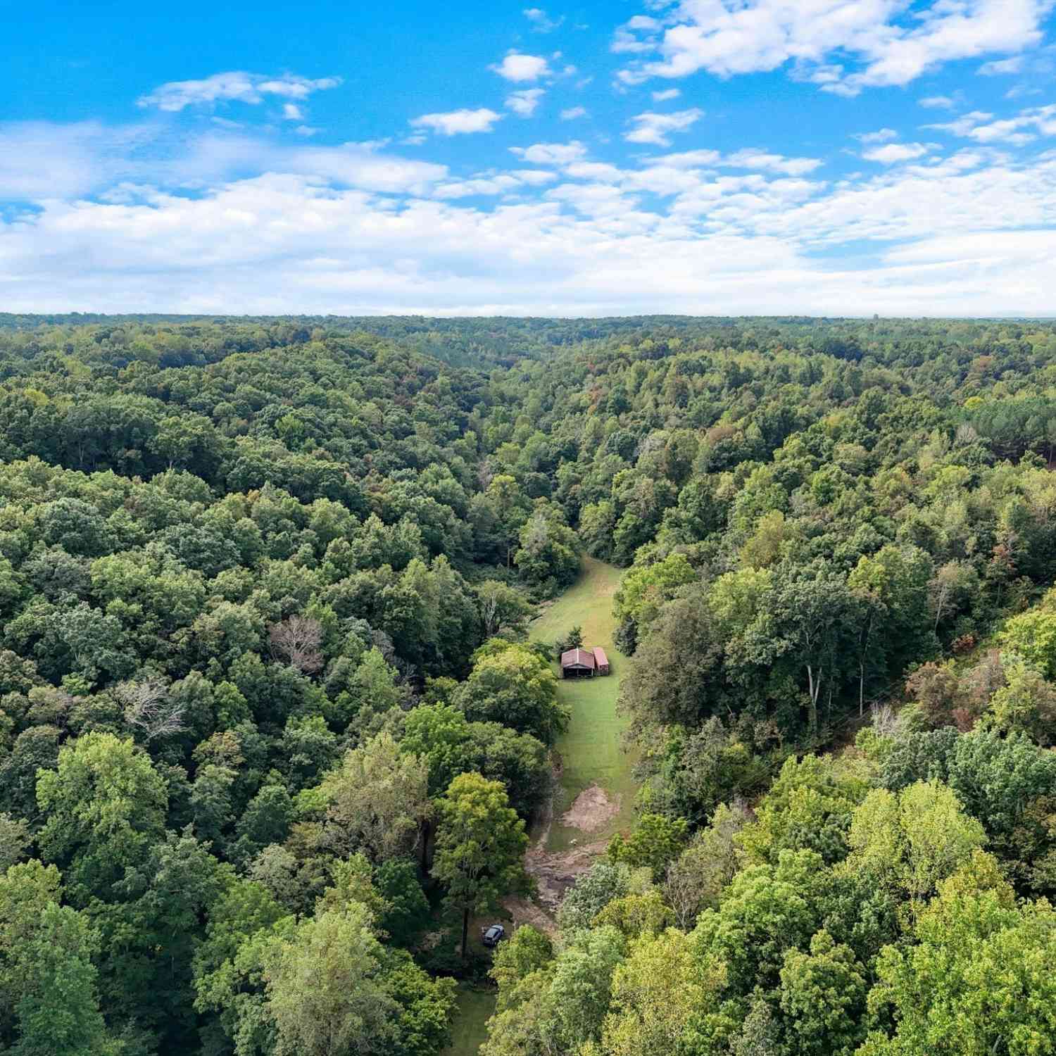 Vacant Land For Sale - 1344 Cut Off Rd<br/> Ethridge, TN 38456