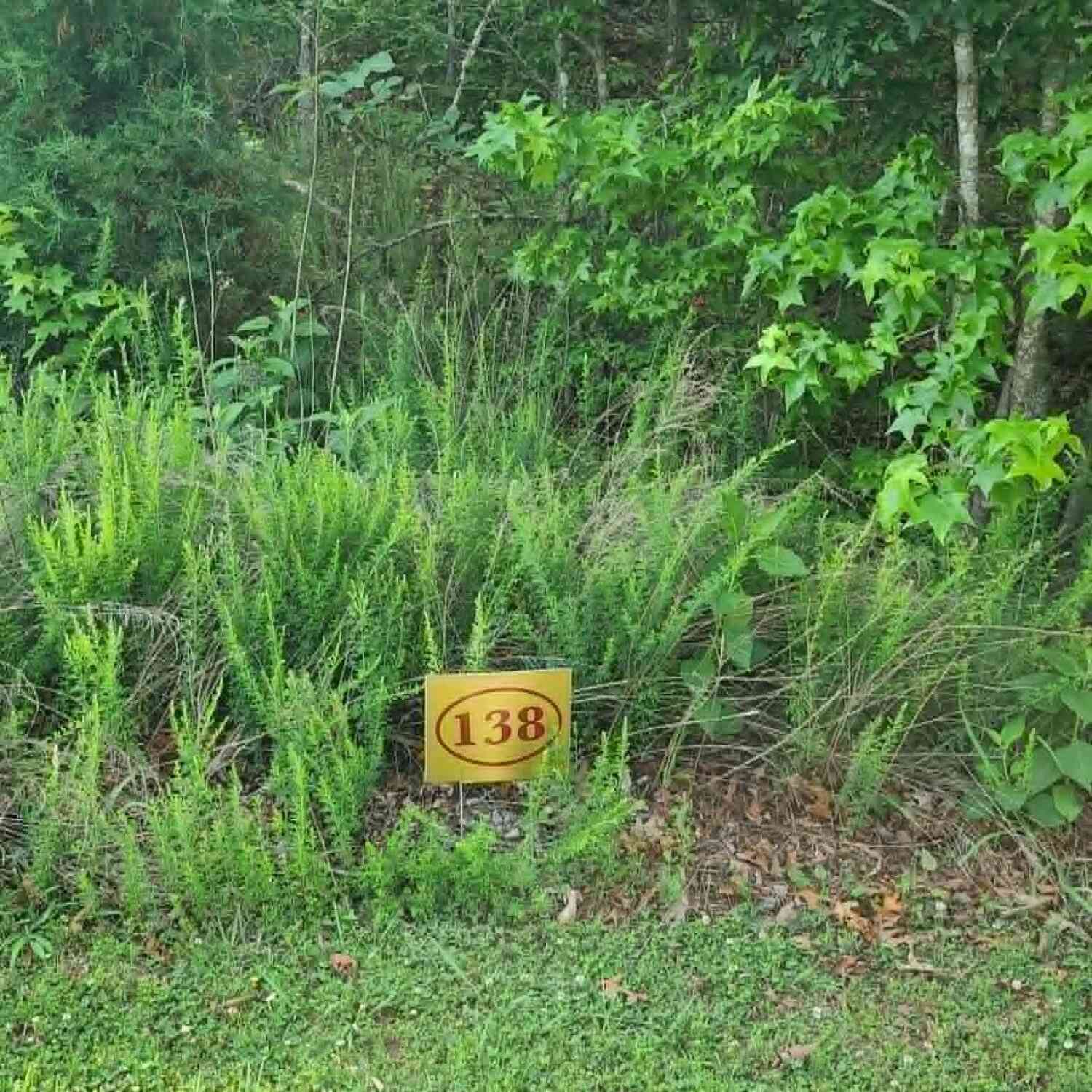 Vacant Land For Sale - 138 E Shore Drive<br/> Roane County, Rockwood, TN 37854