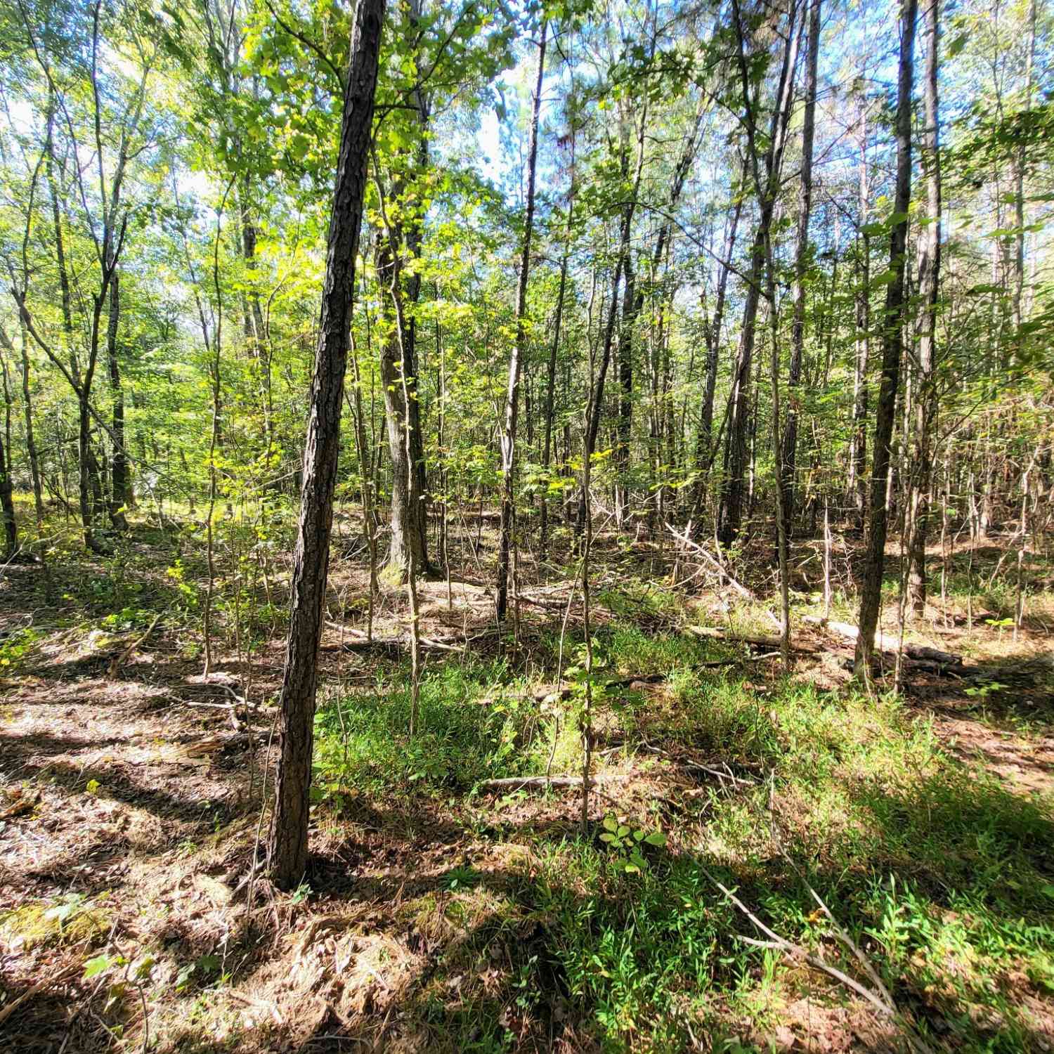 Vacant Land For Sale - 3 Coal Banks Rd<br/> Sparta, TN 38583
