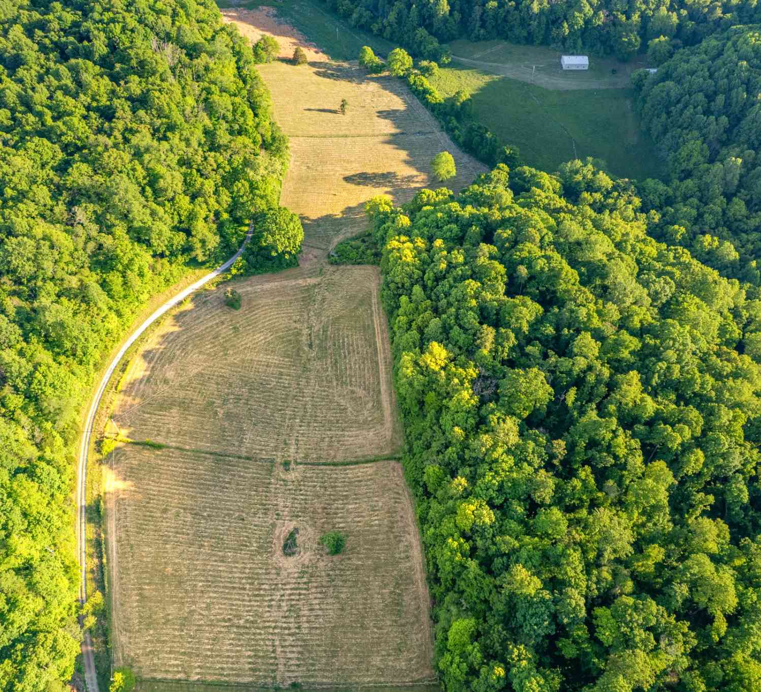 Vacant Land For Sale - 6 Young Rd<br/> Giles County County, Pulaski, TN 38478