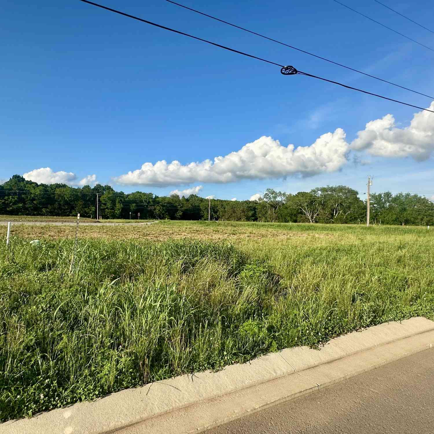 Vacant Land For Sale - 2221 Pickwick Place<br/> Murfreesboro, TN 37127