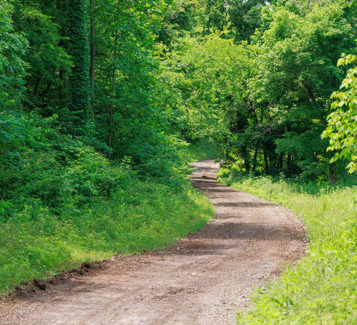 Vacant Land For Sale - 582 Cedar Bend Rd<br/> Coffee County County, Beechgrove, TN 37018