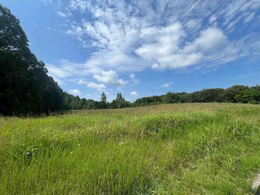 Vacant Land For Sale - Summer Breeze Dr<br/> Smithville, TN 37166