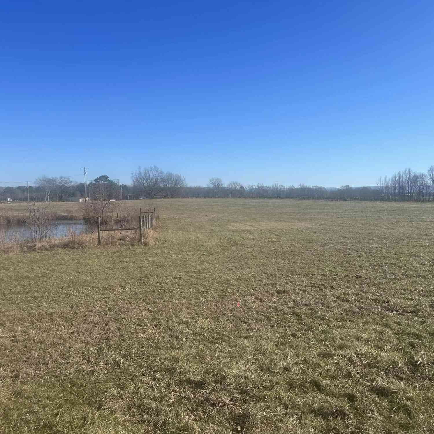 Vacant Land For Sale - Old Salem Lexie Rd<br/> Franklin County County, Belvidere, TN 37306