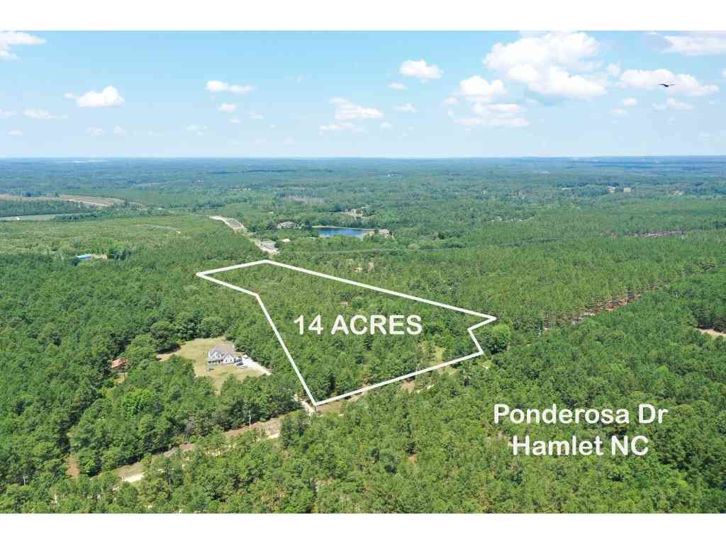 Homes For Sale - Apn: 840300054496<br/> Hamlet, NC 28345