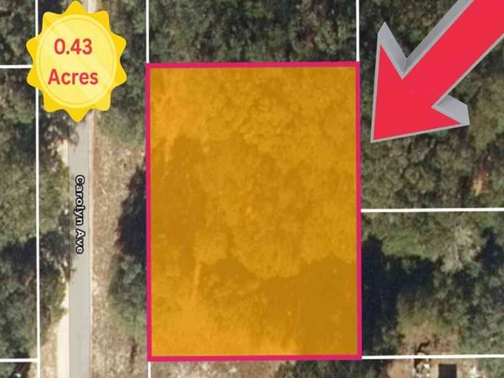 Homes For Sale - 104 Carolyn Ave<br/> Interlachen, FL 32148