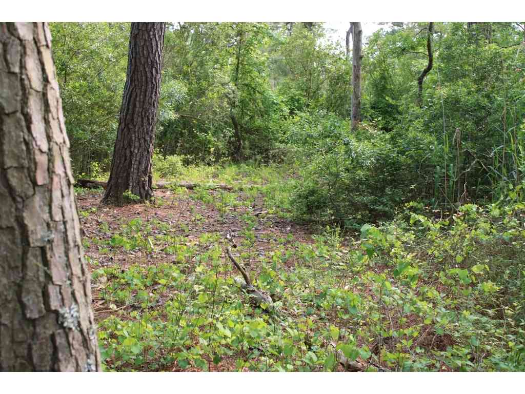 Homes For Sale - Oak Ridge Place<br/> Chincoteague Island, VA 23336