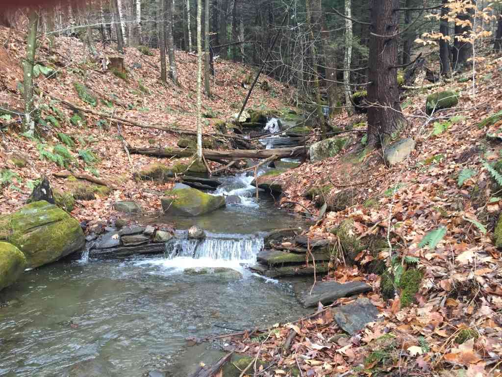Homes For Sale - 90 Reading Farms Rd<br/> Reading, VT 05062