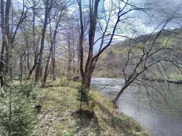 Homes For Sale - 95 Byler Rd<br/> Valier, PA 15780