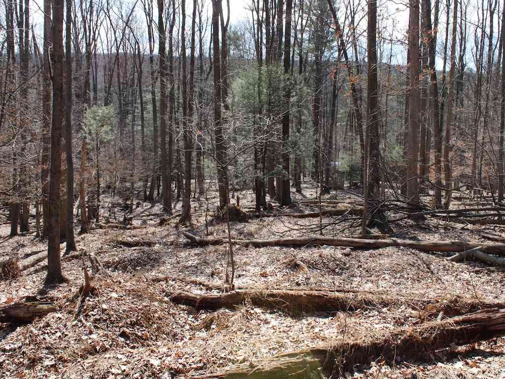 Homes For Sale - Squirrel Lane<br/> Shickshinny, PA 18655