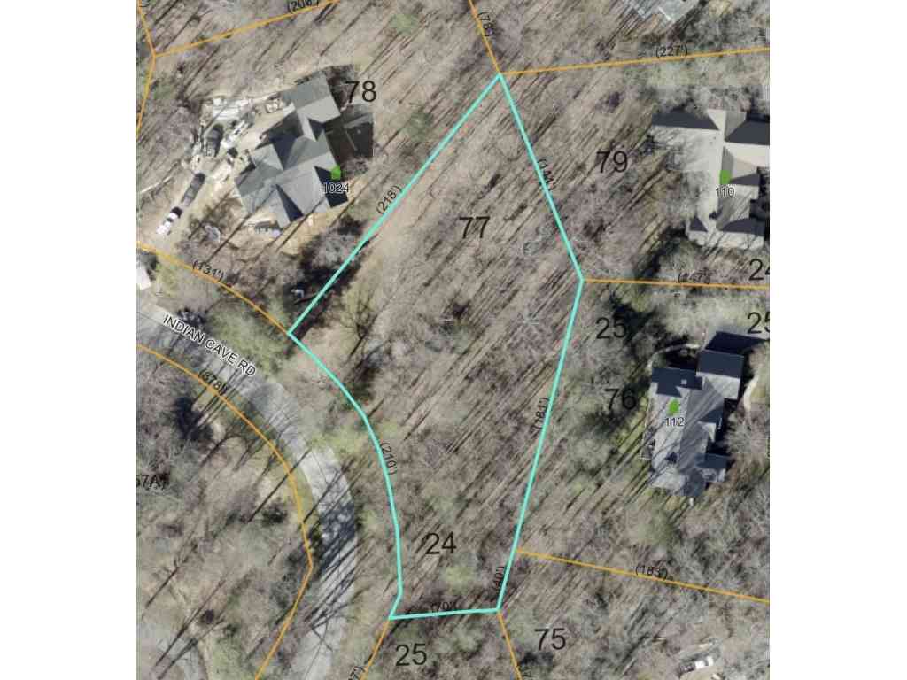 Homes For Sale - 1008 Indian Cave Rd<br/> Hendersonville, NC 28739