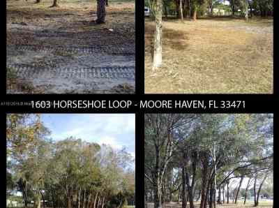 1603 Horseshoe Loop