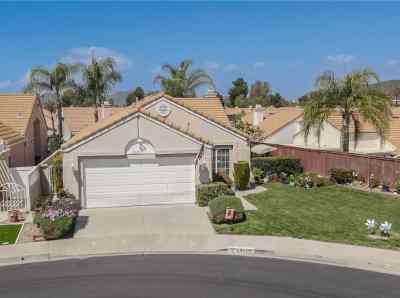 29771 Coral Tree Court
