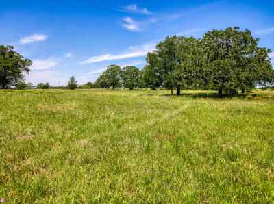 TBD (140 ACRES) County Road 423  