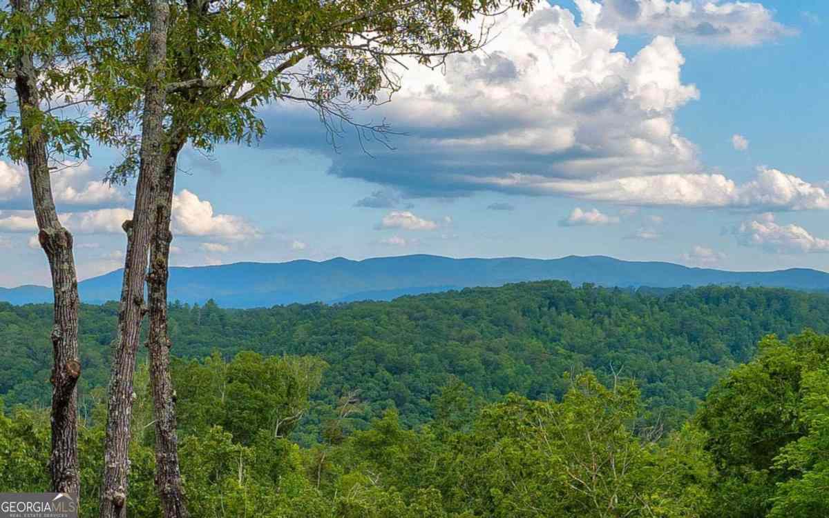 The Best Time of Year to Visit Blue Ridge, GA - Blue Sky Cabin Rentals