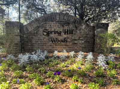 315 W Springhill Woods Drive