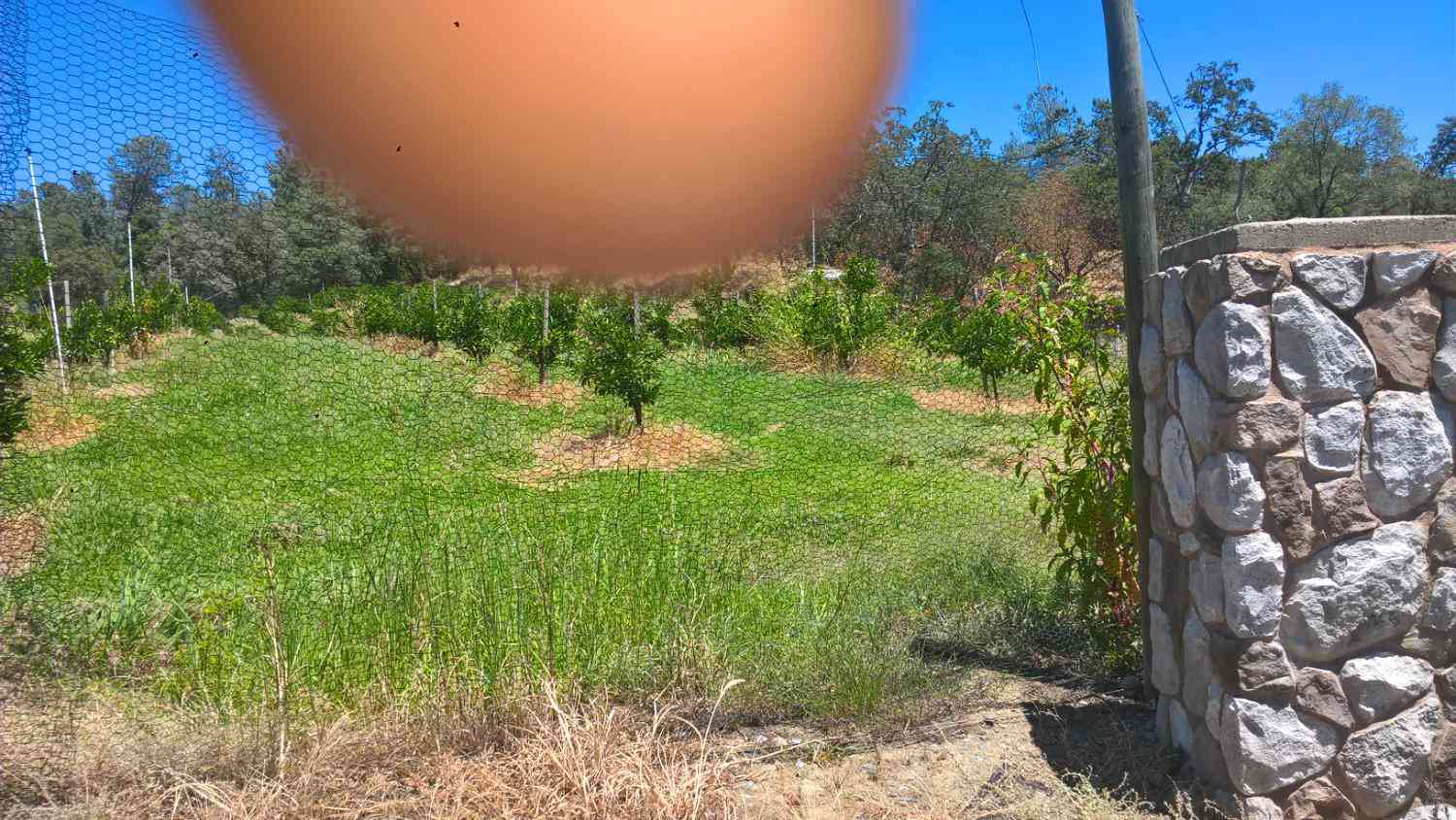 Vacant Land For Sale - Eclipse Mine<br/> Placer County, Auburn, CA 95603