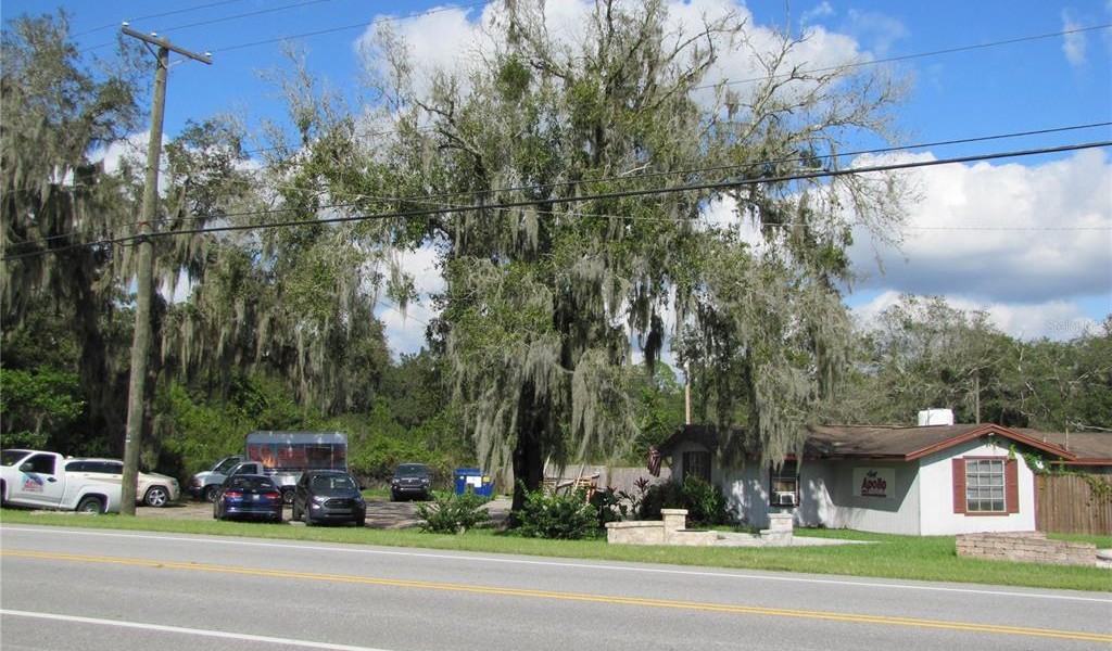 3709 Lithia Pinecrest Road, VALRICO, Florida image 1
