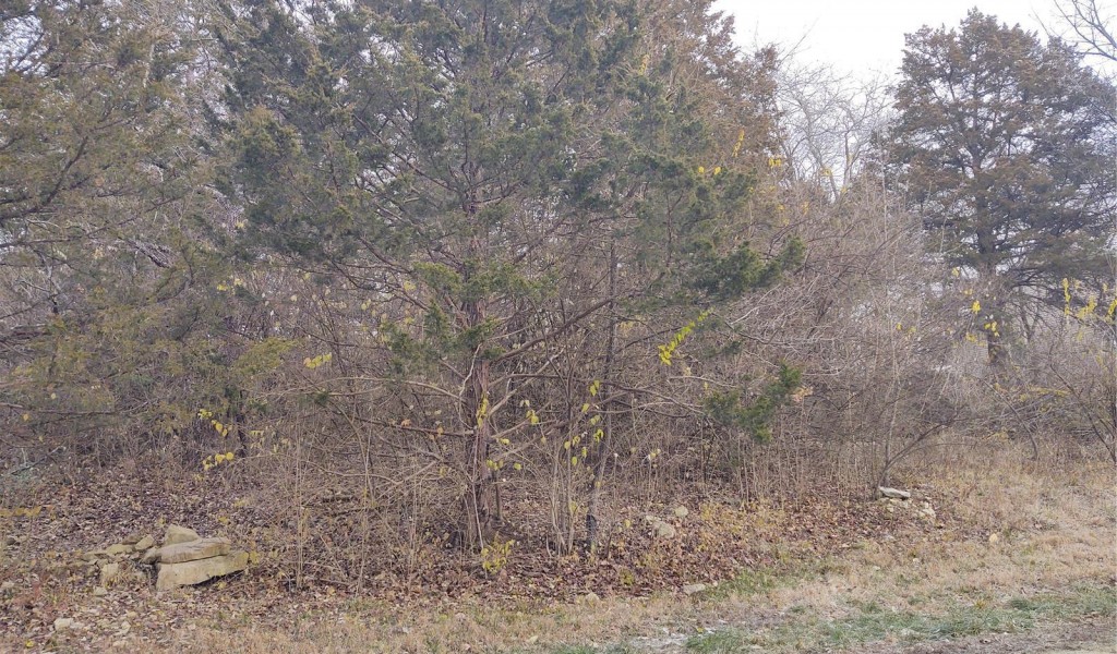 Lot 55 Holly Place, House Springs, Missouri image 1