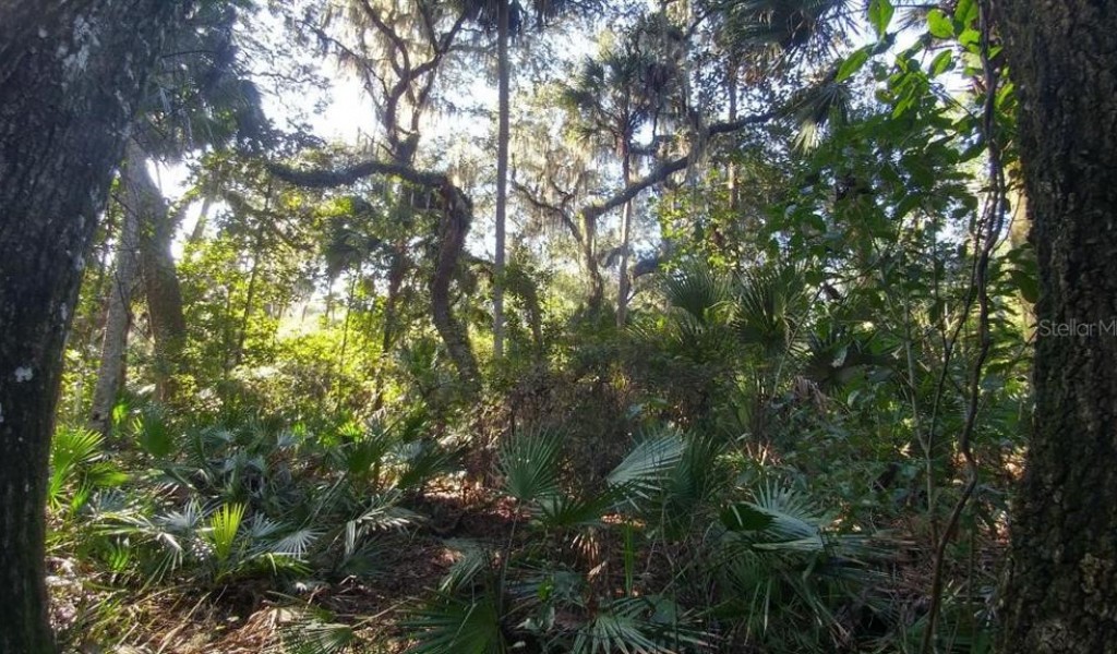 Hibiscus Lane, DELTONA, Florida image 17