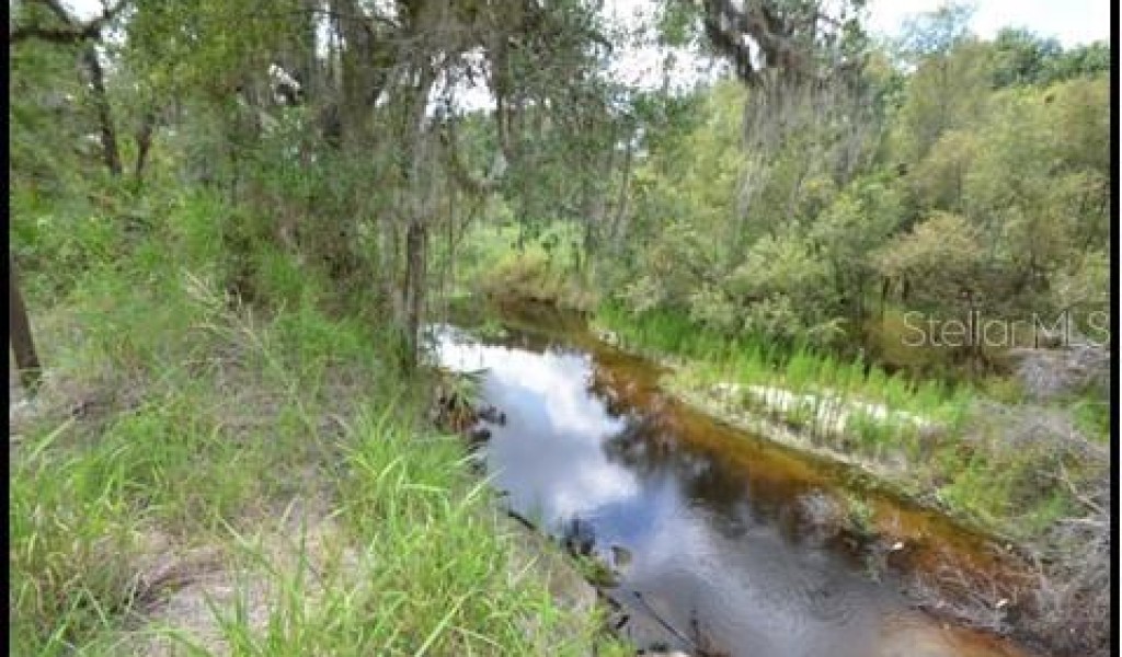 7019 Crooked Creek Lane, ZOLFO SPRINGS, Florida image 27