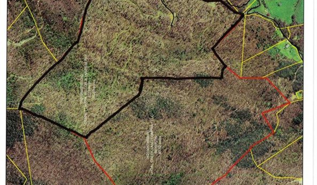 000 Shoal Creek Extension, Burnsville, North Carolina image 1