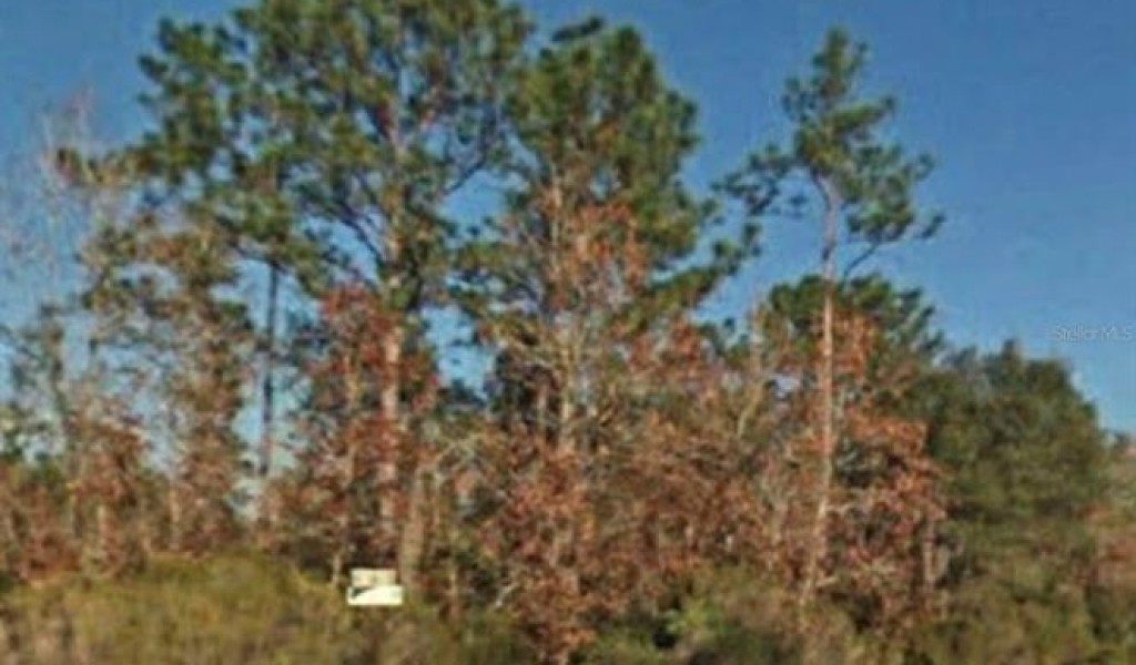 Oak Ridge Estate Blk, BRONSON, Florida image 1