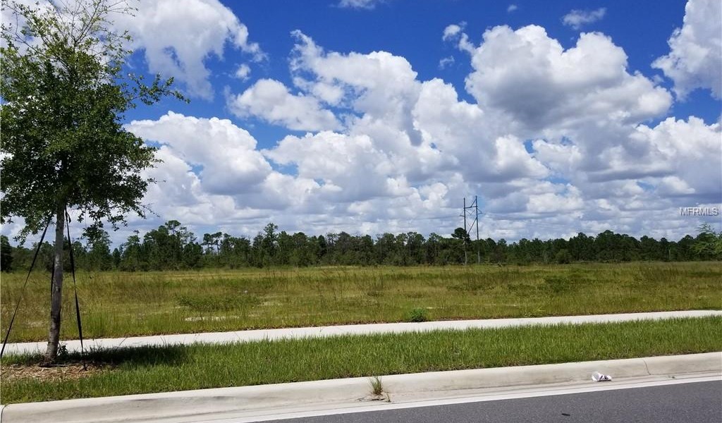 Apopka Vineland Road, ORLANDO, Florida image 1