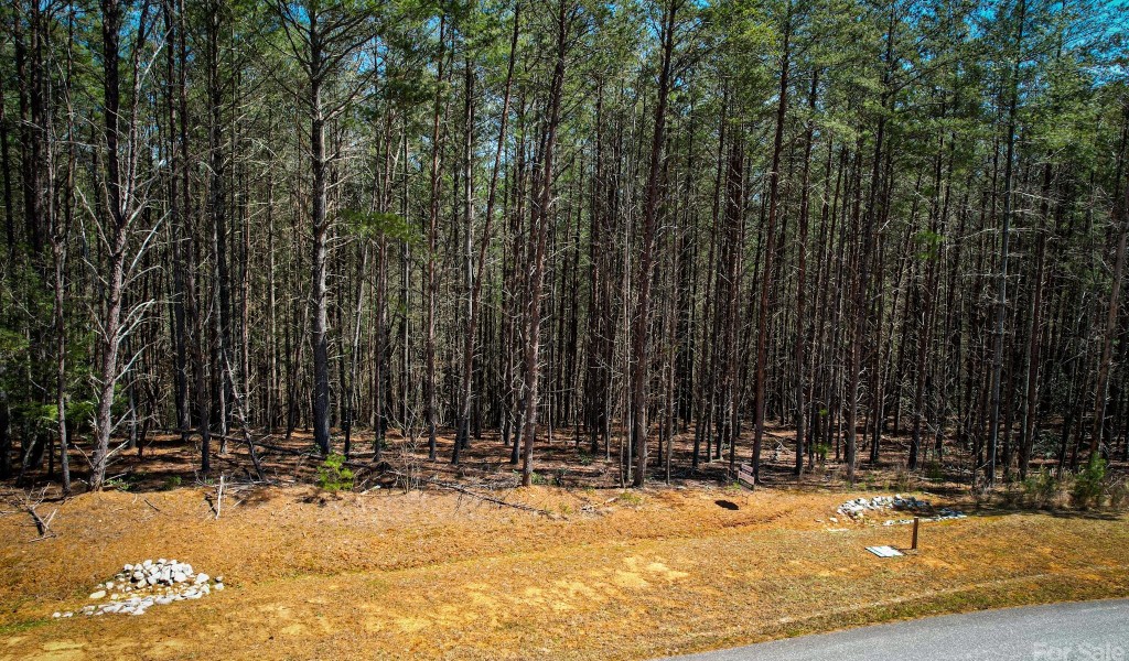 2413 Ivy Rays Way, Nebo, North Carolina image 6