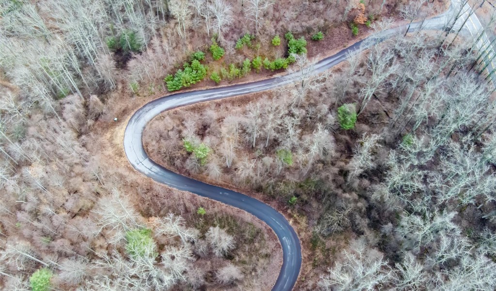 620 Elk Mountain Scenic Highway, Asheville, North Carolina image 5