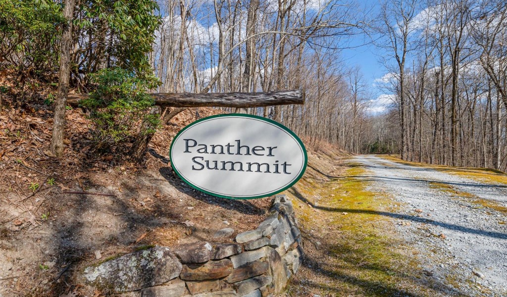 P 1&2 Panther Summit Drive, Lake Toxaway, North Carolina image 1