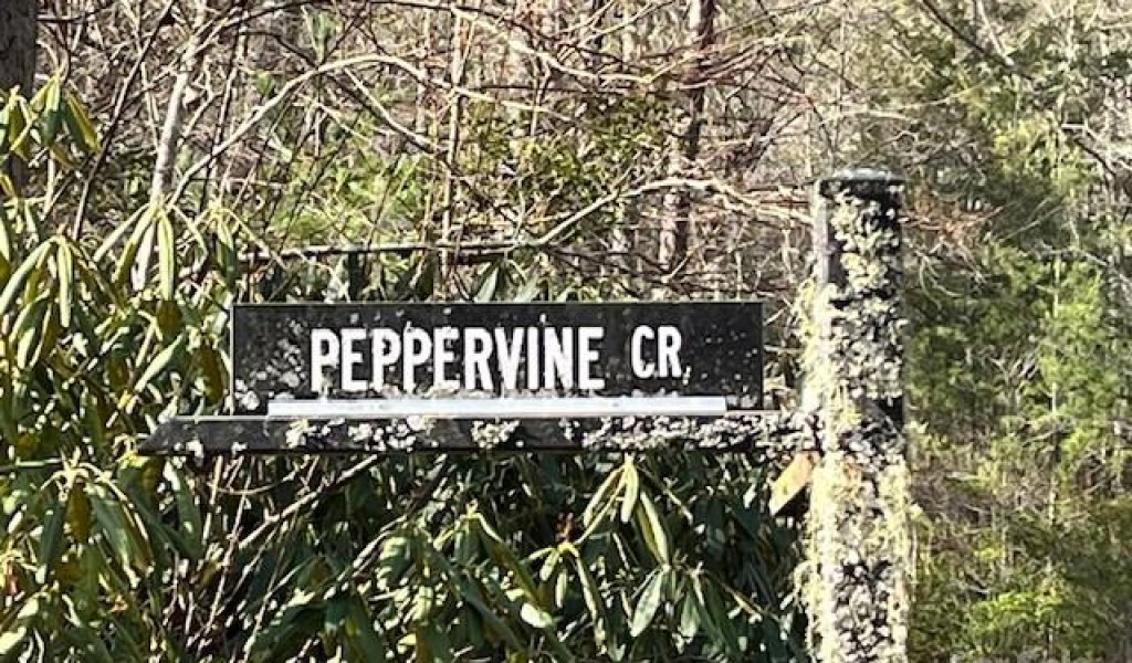 000 Peppervine Circle #97, Rosman, North Carolina image 5