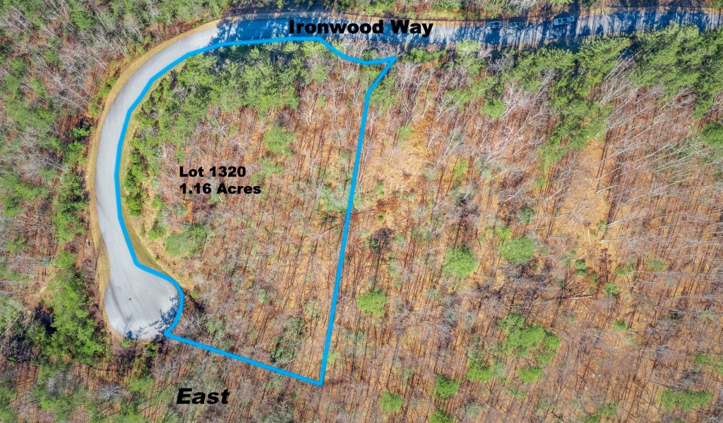 1320 Roundleaf Lane, Ferguson, North Carolina image 3
