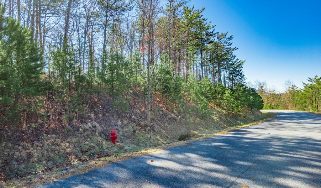 1320 Roundleaf Lane, Ferguson, North Carolina image 14