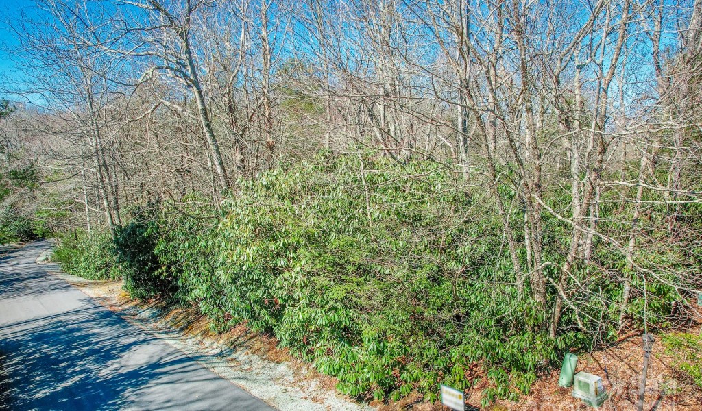 Lot 24 Red Wolf None, Blowing Rock, North Carolina image 4