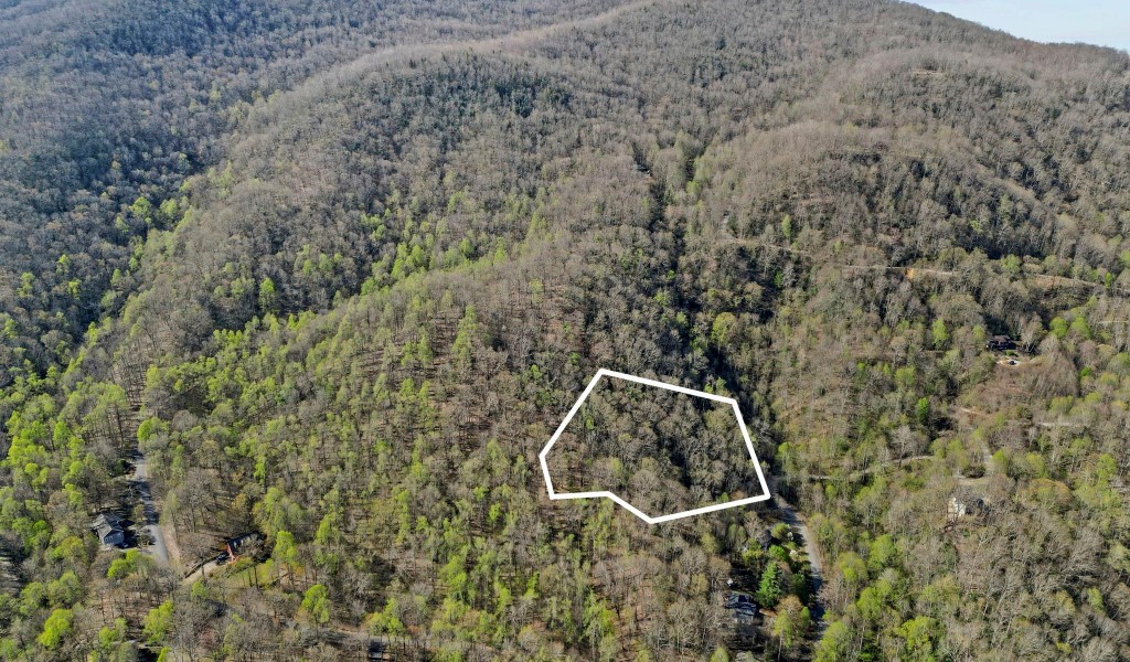 99999 Fairview Pointe Drive #LOT 25, Fairview, North Carolina image 25