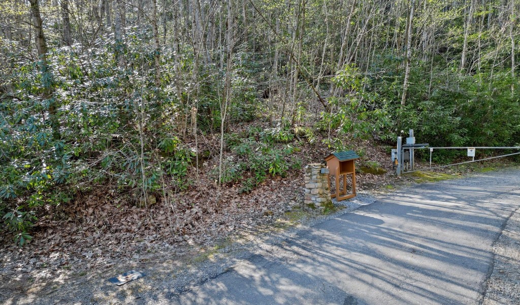 99999 Fairview Pointe Drive #LOT 25, Fairview, North Carolina image 12